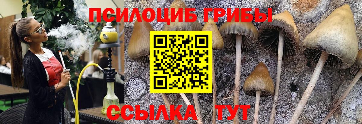 Псилоцибиновые грибы ЛСД  Галлюциногенные грибы Cubensis  Вход с VPN  Ижевск 